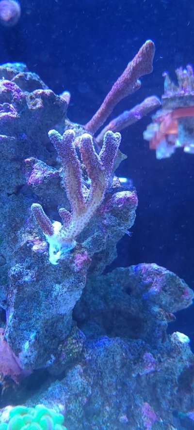 20210113_175047.jpg