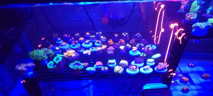 20210113_174538.jpg 20210113_174538.jpg