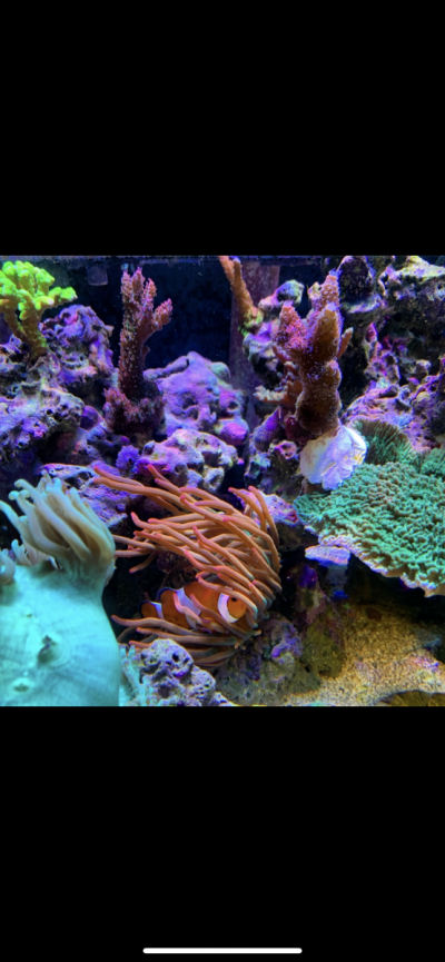 IMG_0582.PNG IMG_0582.PNG
