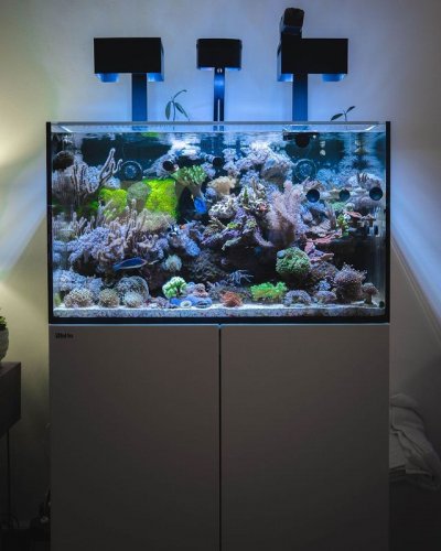 Photo by Reefer_NYC in New York,.jpg Photo by Reefer_NYC in New York,.jpg
