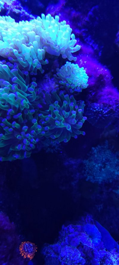 137330643_413130516577094_3558205909554235194_n.jpg 137330643_413130516577094_3558205909554235194_n.jpg