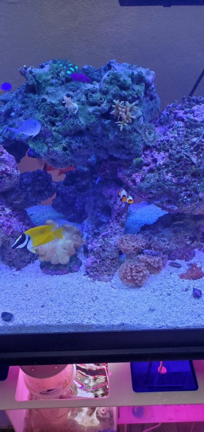 20201216_133907.jpg 20201216_133907.jpg