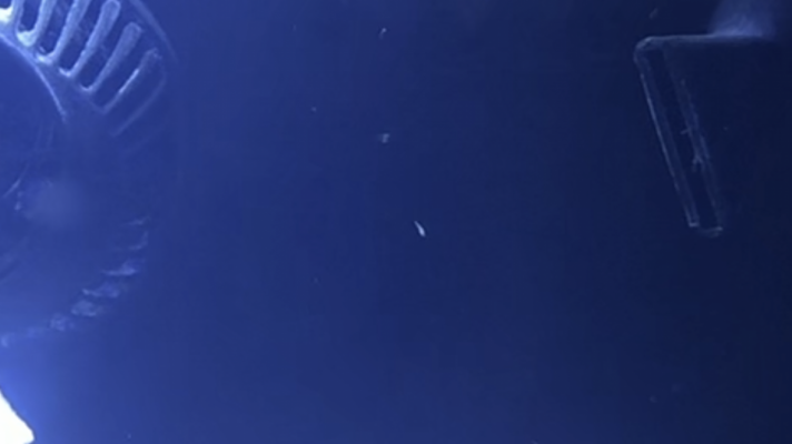 96305FF0-5C55-4609-9A88-207F6C0CE1A6.png