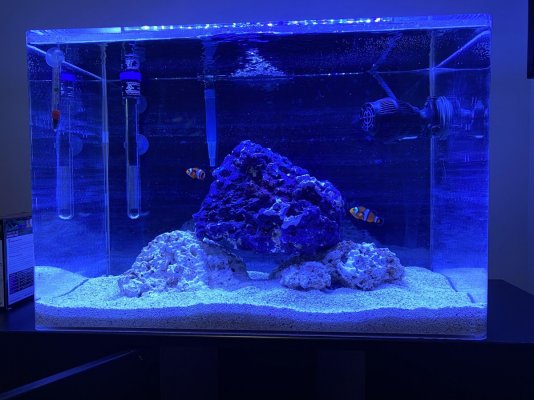 tank 3.jpg tank 3.jpg