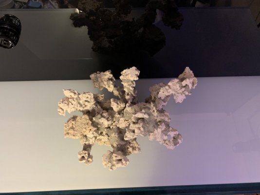 4619C572-FD79-4465-9727-F808EE1272EA.jpeg 4619C572-FD79-4465-9727-F808EE1272EA.jpeg