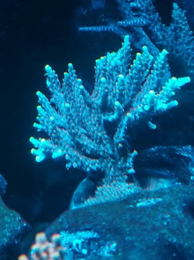 20210108_205400.jpg 20210108_205400.jpg