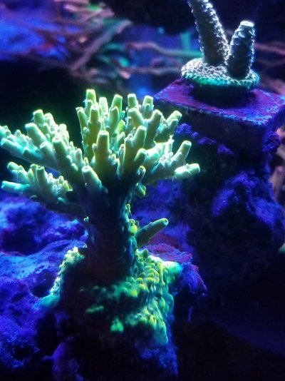 20201105_204133.jpg 20201105_204133.jpg