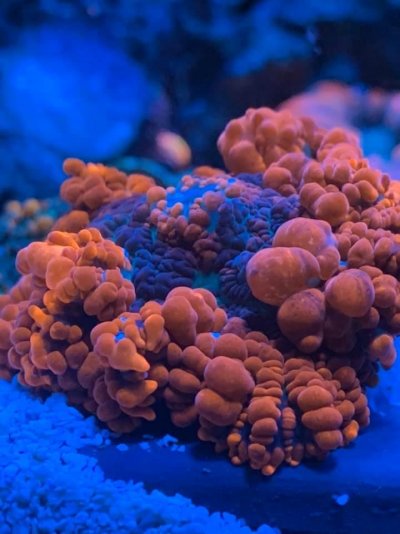 IMG_0839 2.JPG IMG_0839 2.JPG