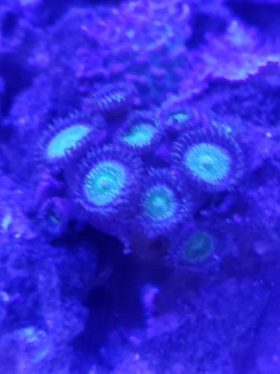 20210216_183333.jpg