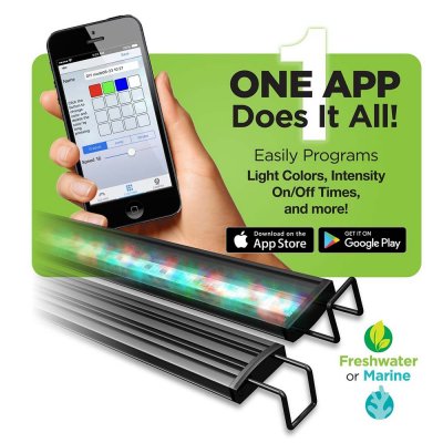 AquaticLife-Reno-WiFi-RGBW-LED-Aquarium-Light-Fixtures-with-Phone-App-20-inch-96.jpg AquaticLife-Reno-WiFi-RGBW-LED-Aquarium-Light-Fixtures-with-Phone-App-20-inch-96.jpg