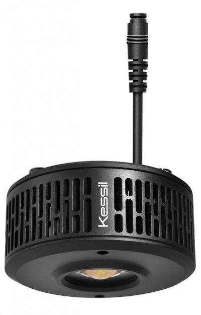 Kessil-A360X-Tuna-Blue-LED-Light-99.jpg Kessil-A360X-Tuna-Blue-LED-Light-99.jpg