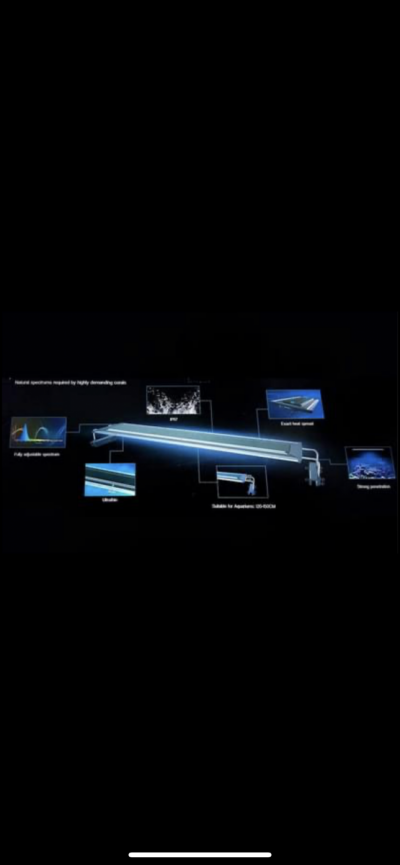 58068EBB-9C21-4057-B185-4A05E3519F3F.png 58068EBB-9C21-4057-B185-4A05E3519F3F.png