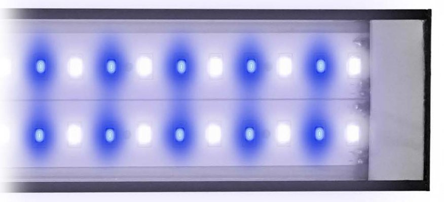 Reef-Brite-LumiLite-Pro-Blue-White-50-50-LED-Light-Fixture-8-inch-99.jpg Reef-Brite-LumiLite-Pro-Blue-White-50-50-LED-Light-Fixture-8-inch-99.jpg
