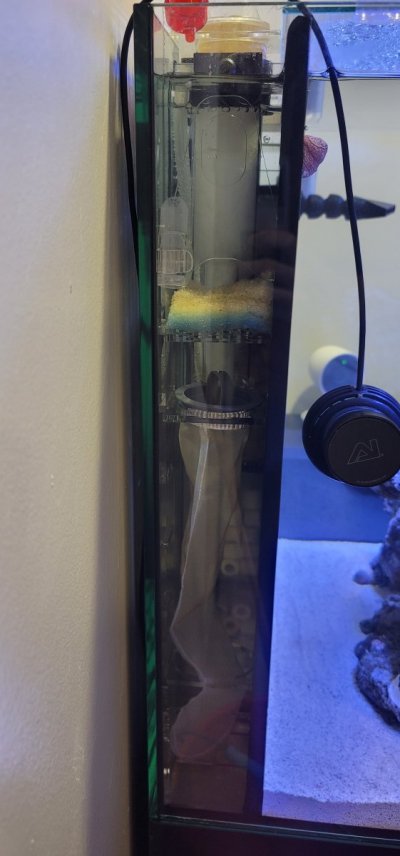 AIO Build - Aquatop 40 Recife AIO media basket | Reef2Reef