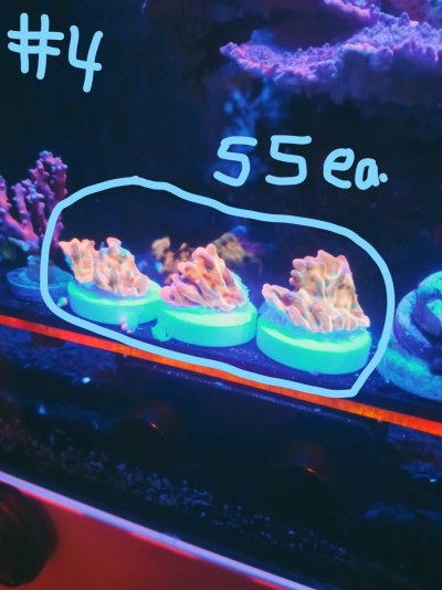 InkedBeach_LI.jpg InkedBeach_LI.jpg