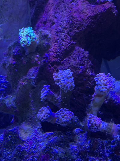E2F0F347-0AD5-48AB-BABA-C7358D5CE547.jpeg E2F0F347-0AD5-48AB-BABA-C7358D5CE547.jpeg