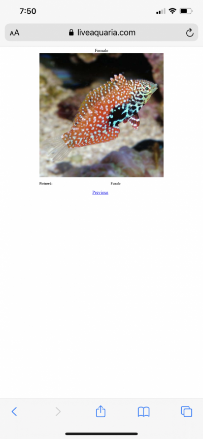717CB480-D6FD-4B1A-8B48-0FE33D4BBB3A.png 717CB480-D6FD-4B1A-8B48-0FE33D4BBB3A.png