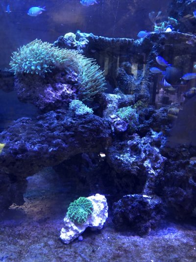 IMG_0129.JPG IMG_0129.JPG