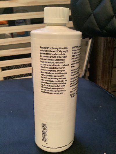 image.jpg image.jpg