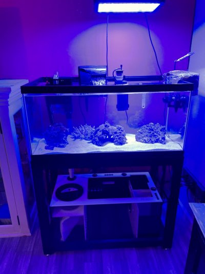 Picture of whole Tank.jpg Picture of whole Tank.jpg