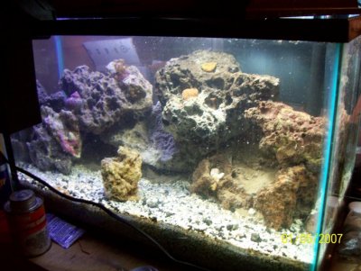 fish tank project 058.jpg
