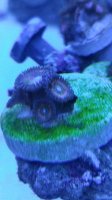 20150722_154345.jpg 20150722_154345.jpg