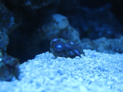 IMG_0683.JPG