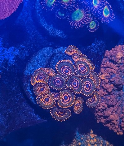 E4CC678F-4143-4C45-8872-C0DCEC42FF6C.jpeg E4CC678F-4143-4C45-8872-C0DCEC42FF6C.jpeg