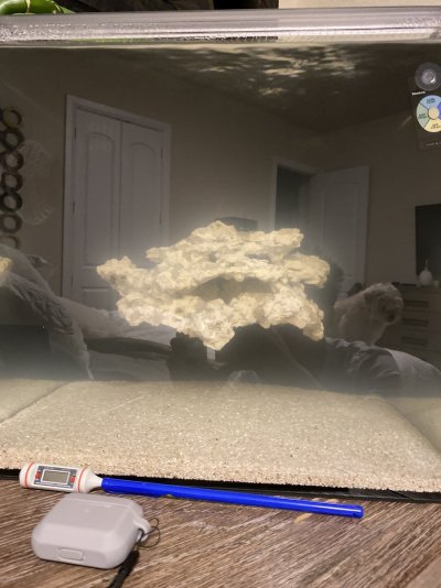 image.jpg image.jpg