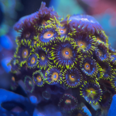 C333C591-3CCB-46F1-9D07-4E9B5F5E195A.png C333C591-3CCB-46F1-9D07-4E9B5F5E195A.png