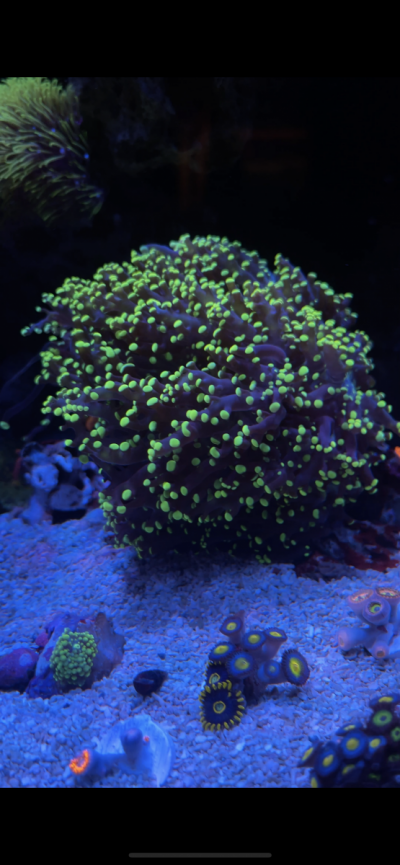 A13DFEB6-5254-4D9E-B8FA-8D55CC989FA0.png A13DFEB6-5254-4D9E-B8FA-8D55CC989FA0.png