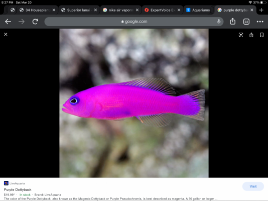 D58FC286-284A-45D6-93A4-DF50A992BA6F.png D58FC286-284A-45D6-93A4-DF50A992BA6F.png