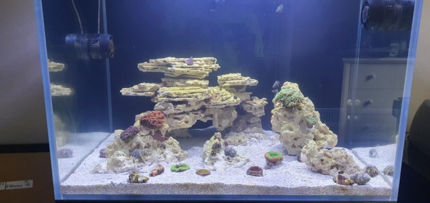 tank 1.jpg