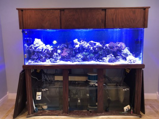 180 tank setup 11-22-2020.JPG