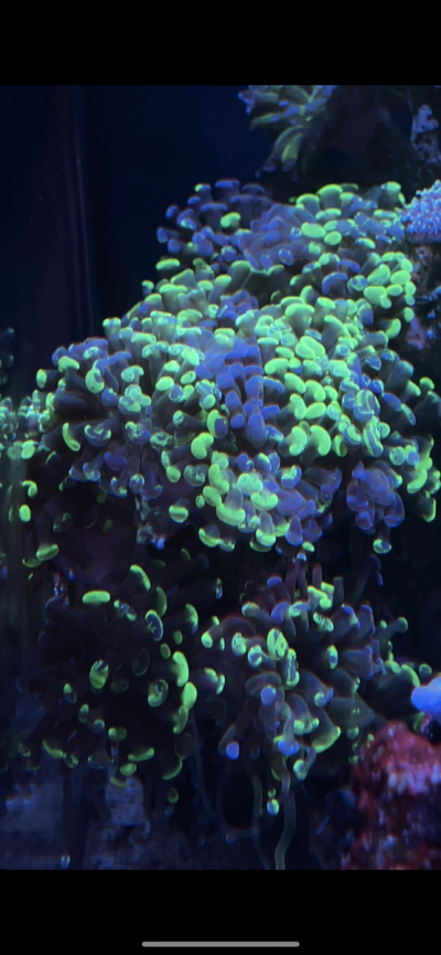 9B8981D2-53B7-45E3-950D-C5EE2968B502.png 9B8981D2-53B7-45E3-950D-C5EE2968B502.png