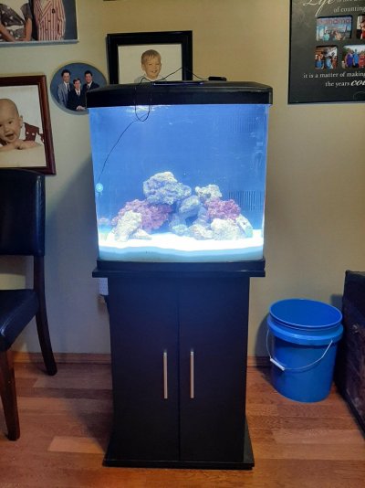 BioCube 32.jpg BioCube 32.jpg