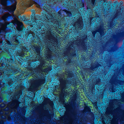 536D5EB6-3262-49B5-AA47-550A08491AC7.png 536D5EB6-3262-49B5-AA47-550A08491AC7.png