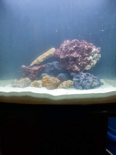 Reef tank aquascape 3.jpg