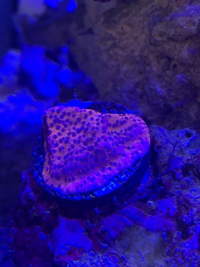 image_6487327.JPG image_6487327.JPG