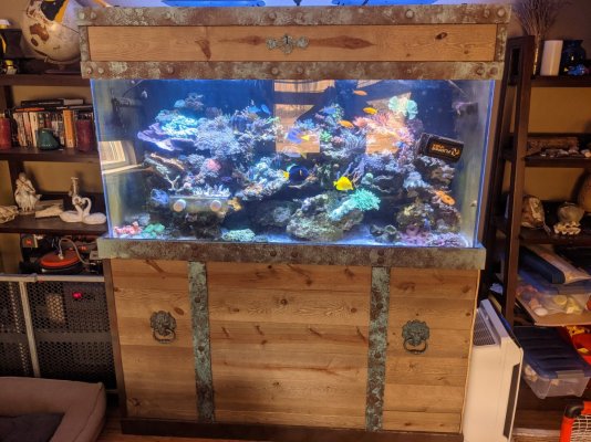 Treasure Chest Aquarium.jpg Treasure Chest Aquarium.jpg