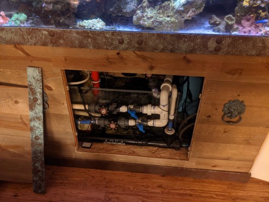 TC Aquarium Stand Opening.jpg TC Aquarium Stand Opening.jpg