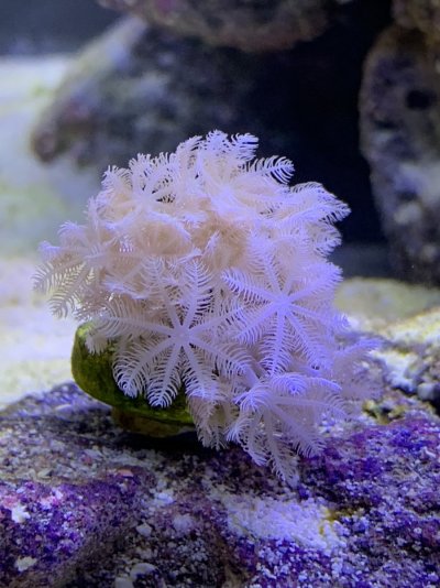 9559C1C8-A548-4D26-9F33-52D2DD0FEB39.jpeg