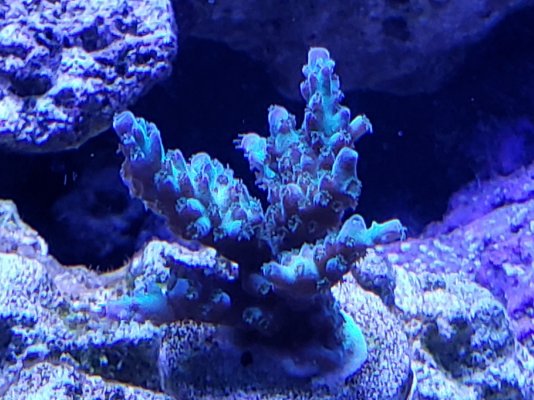 20210410_134337.jpg