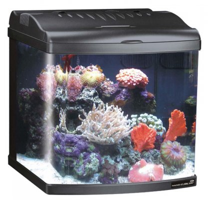 JBJ-12-Gallon-Nano-Cube-Deluxe-Aquarium-with-(2)-Nite-Vu-LED-Moonlights-99.jpg JBJ-12-Gallon-Nano-Cube-Deluxe-Aquarium-with-(2)-Nite-Vu-LED-Moonlights-99.jpg
