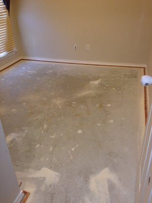Bare Cement Floor.jpg