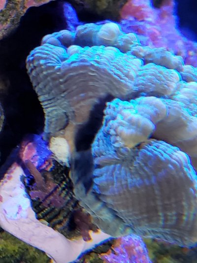 20210418_205501.jpg 20210418_205501.jpg