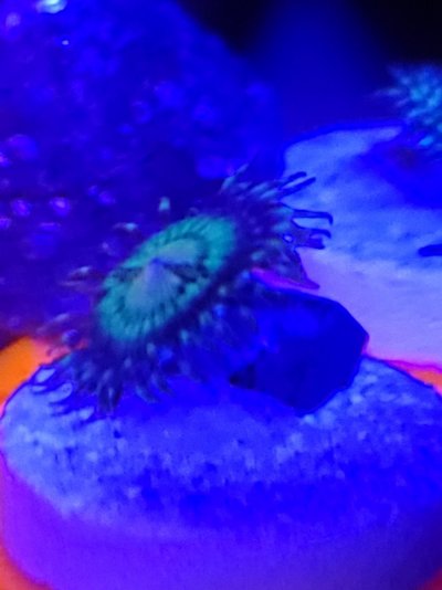 20210424_080543.jpg 20210424_080543.jpg