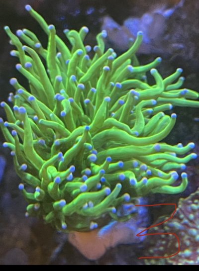 D70C05E0-1E03-40CC-972A-4BF6C4FF010F.jpeg D70C05E0-1E03-40CC-972A-4BF6C4FF010F.jpeg