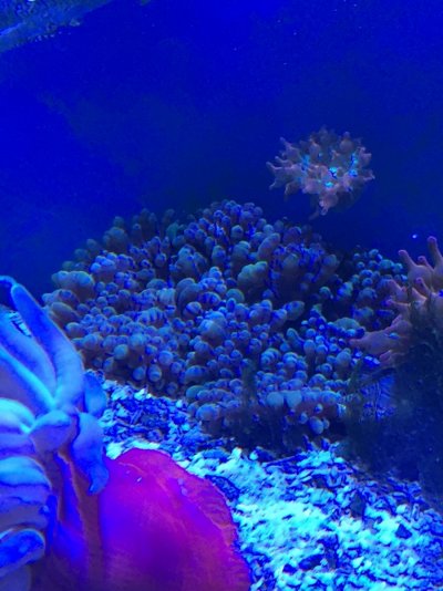IMG_0843.JPG IMG_0843.JPG