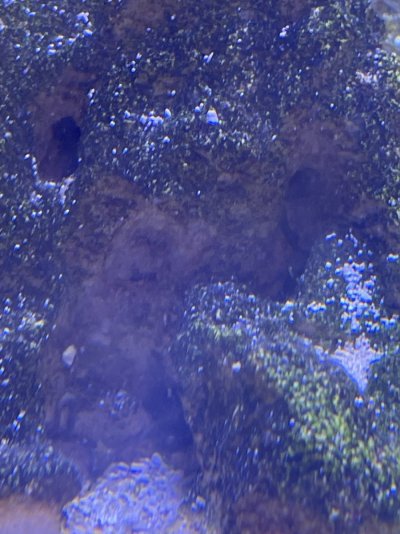 image2.jpg